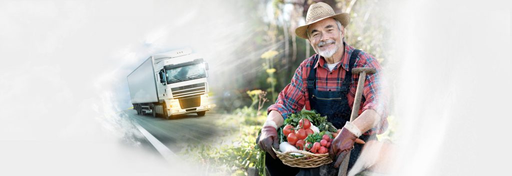 Importância do distribuidor de verduras em SP