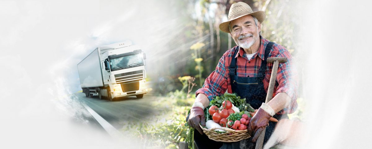 Importância do distribuidor de verduras em SP